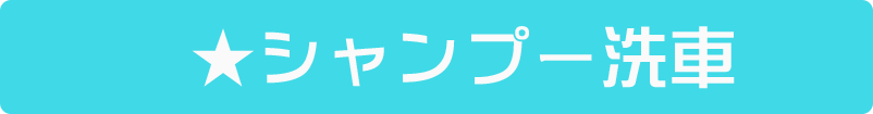 シャンプー洗車